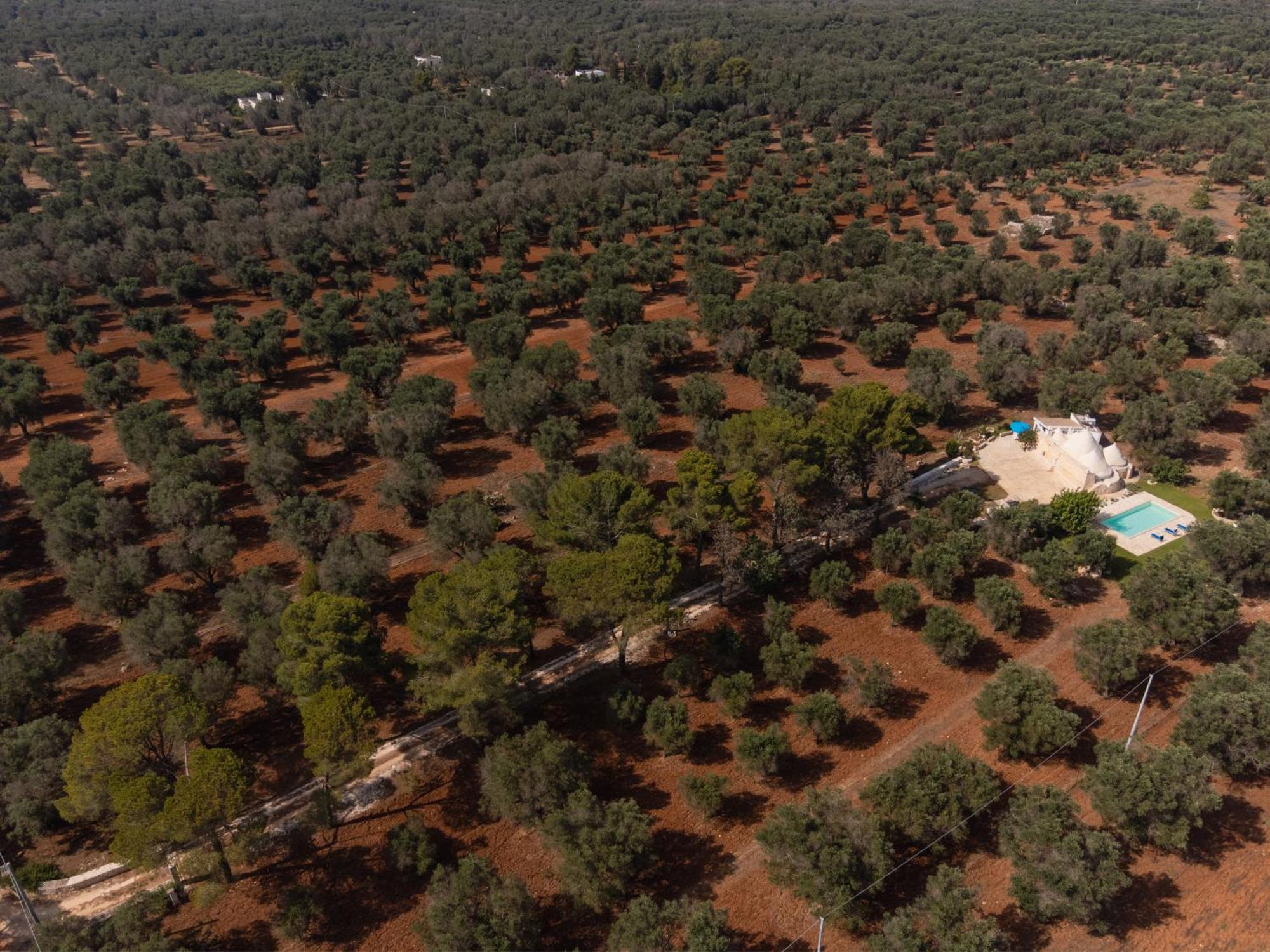 Trullo Tarantini Con Piscina Privata Lejlighed Latiano Eksteriør billede